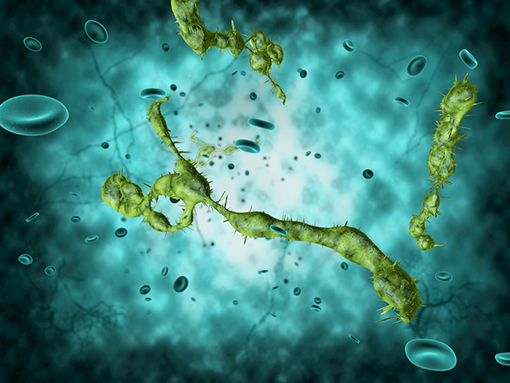 Criador e fabricante francês de solventes sem pictogramas de perigo, substitutos de CMR, agrossolventes, ecossolventes, desengordurantes, produtos de limpeza, diluentes, decapantes, descontaminantes.